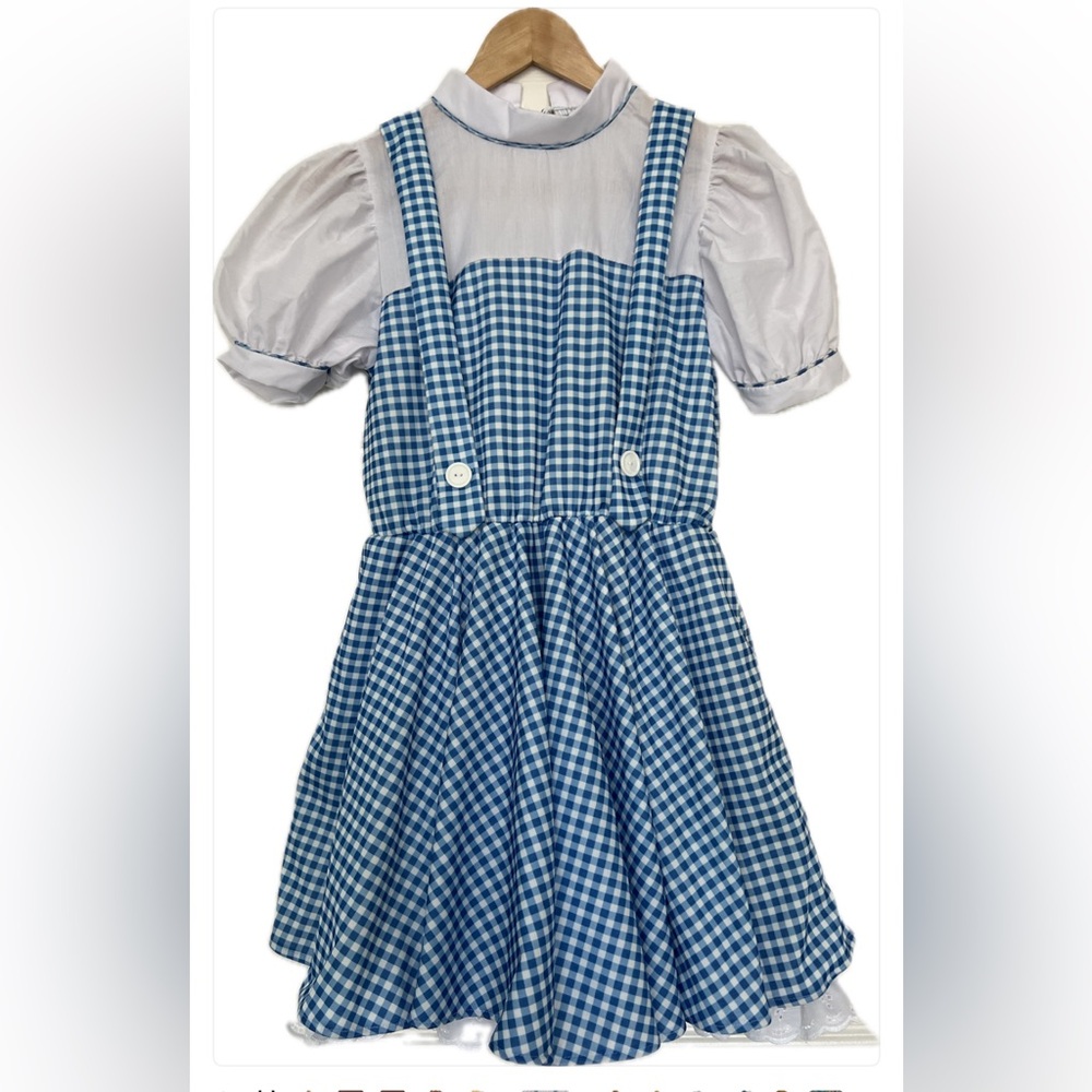 Rubie's Blue and White Gingham Kids Costume